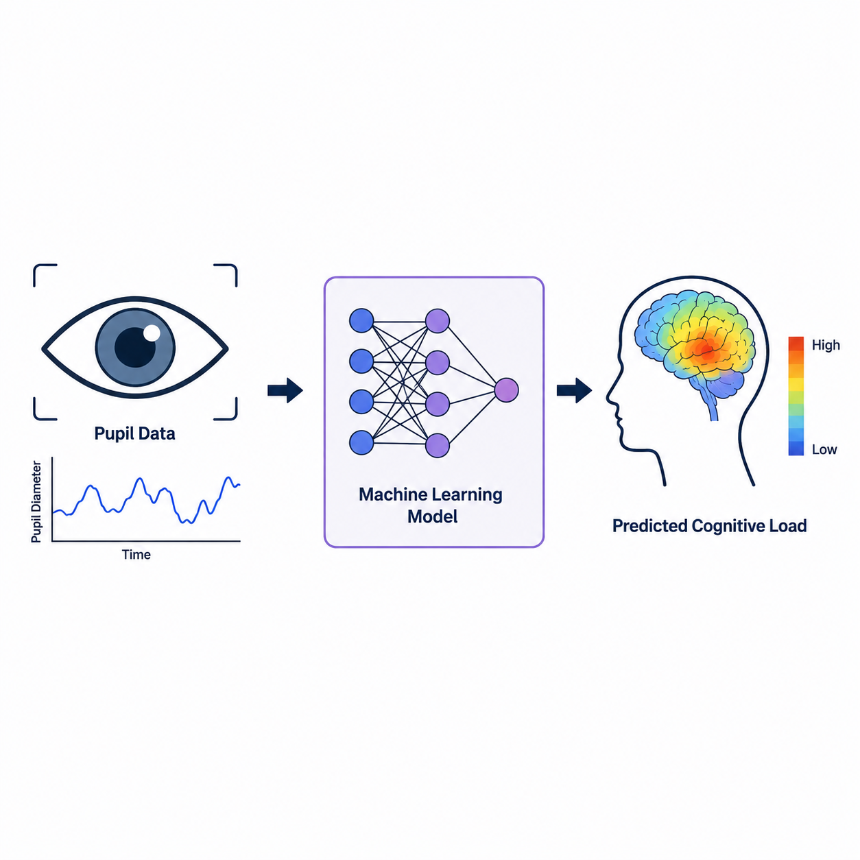 Automatic detection of cognitive events using machine learning and understanding models' interpretations of human cognition